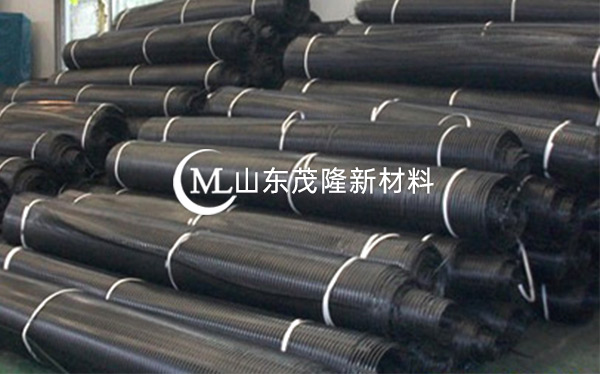 單向拉伸塑料土工格柵產品演示圖2