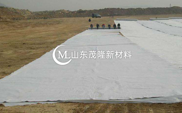 《天府機場TJ6標》土工格柵、土工布、排水板施工