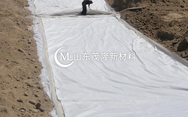 《大廣高速》復(fù)合土工布施工