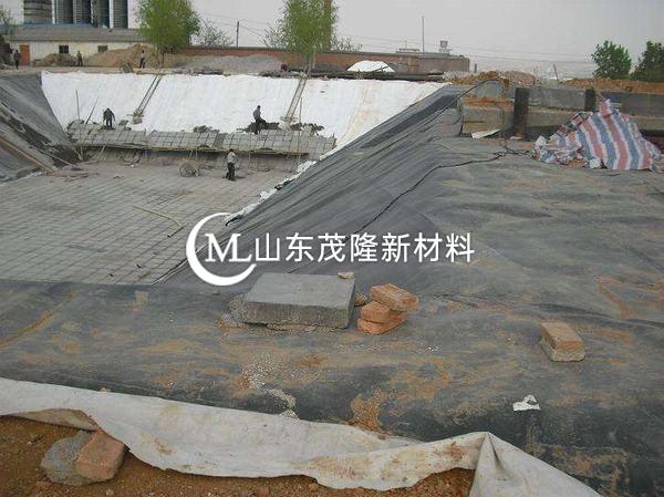 渠道襯砌土工膜作業指導書——《職責》