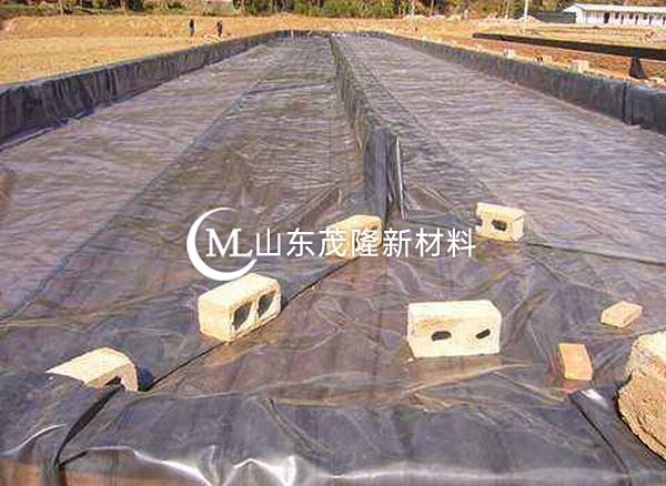 高密度聚乙烯（HDPE ）土工膜是垃圾填埋場(chǎng)中應(yīng)用最廣泛的防滲材料