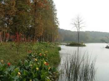 護岸工程施工方案、圖紙歸納匯總  第1張