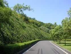 護(hù)坡工程設(shè)計(jì)資料