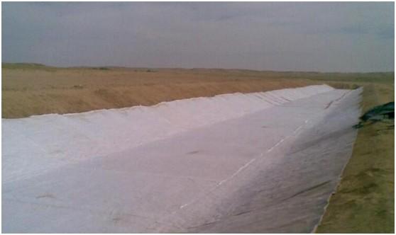 超大型專用土工膜氣脹設(shè)備解決砂礫地基問(wèn)題  第3張