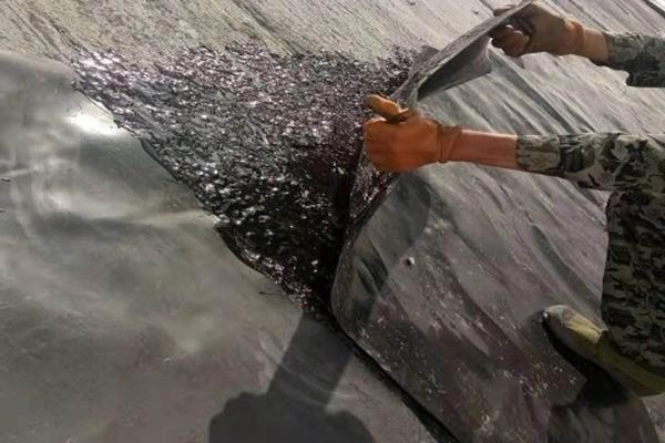 揭秘土工膠如何實(shí)現(xiàn)土工膜粘接的奧秘  第2張