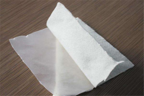 復(fù)合土工膜在不同地質(zhì)條件下的應(yīng)用  第1張