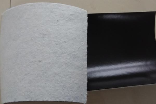 復(fù)合土工膜在地下工程、交通隧道中的應(yīng)用  第1張