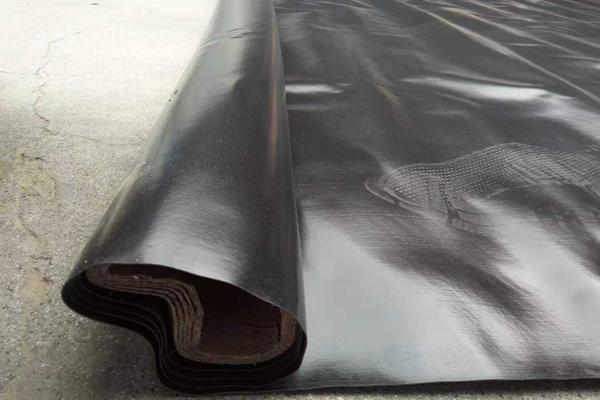 土工膜與復(fù)合土工膜的不同之處  第2張