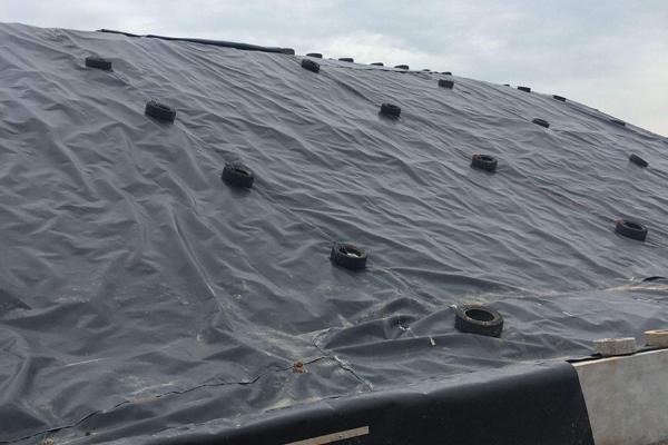 HDPE土工膜在人工湖建設中的應用  第1張