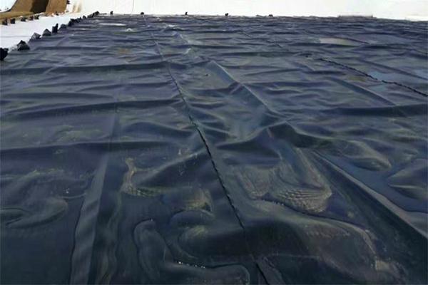 土工膜和pe膜的區(qū)別在哪里  第3張