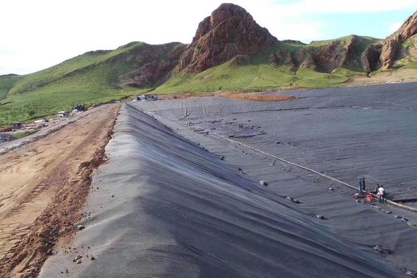 土工膜最厚可以生產幾毫米的呢?  第2張