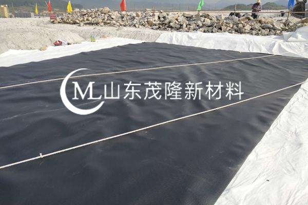 《中石化商業儲備有限公司湛江東海島原油商業儲備基地工程項目》土工膜施工