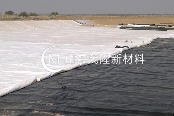 《黎光垃圾填埋場清理搬遷及運輸服務項目》HDPE土工膜