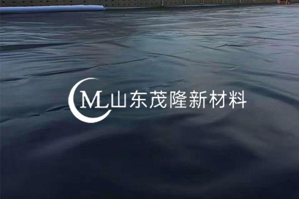 《龍大養殖有限公司景芝鎮沼氣利用及污水處理工程項目部》土工膜施工