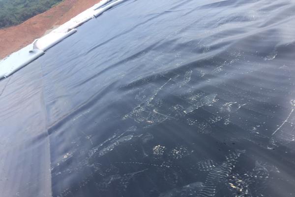 土工膜需要做型式檢測(cè)嗎  第2張