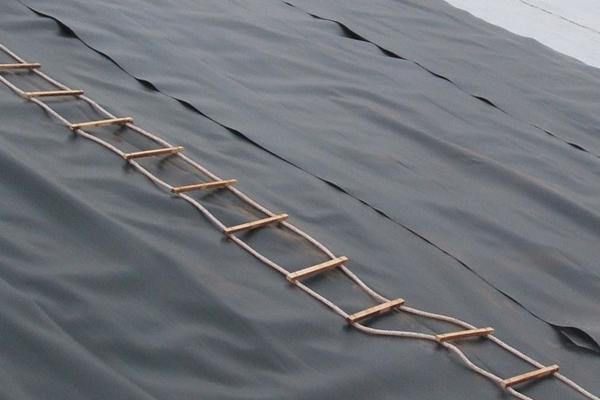 土工膜可以做衛生間防水嗎？  第1張