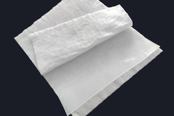 復(fù)合土工膜防滲的原理是什么  第1張